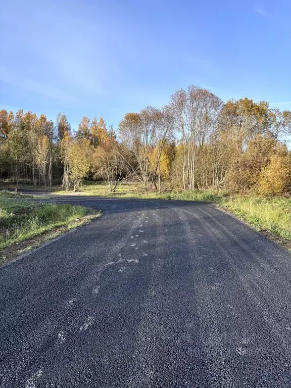 Участок в Ленинградская область, Всеволожский район, Лесколовское ... - Фото 0