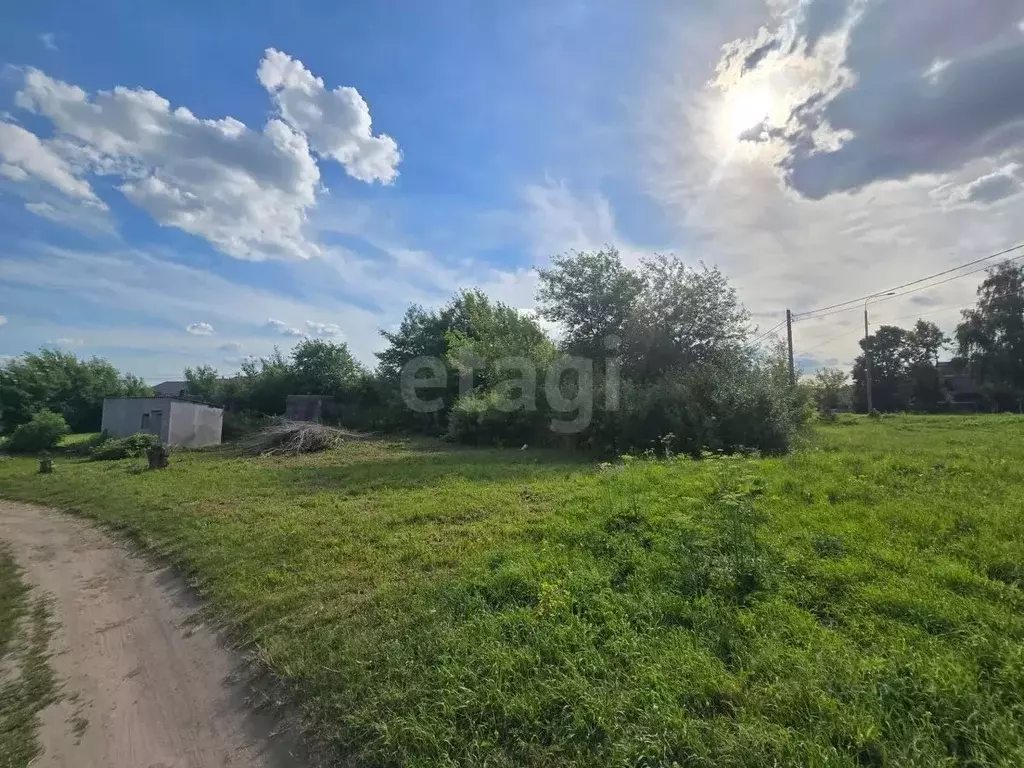 Участок в Московская область, Коломна городской округ, с. Троицкие ... - Фото 1