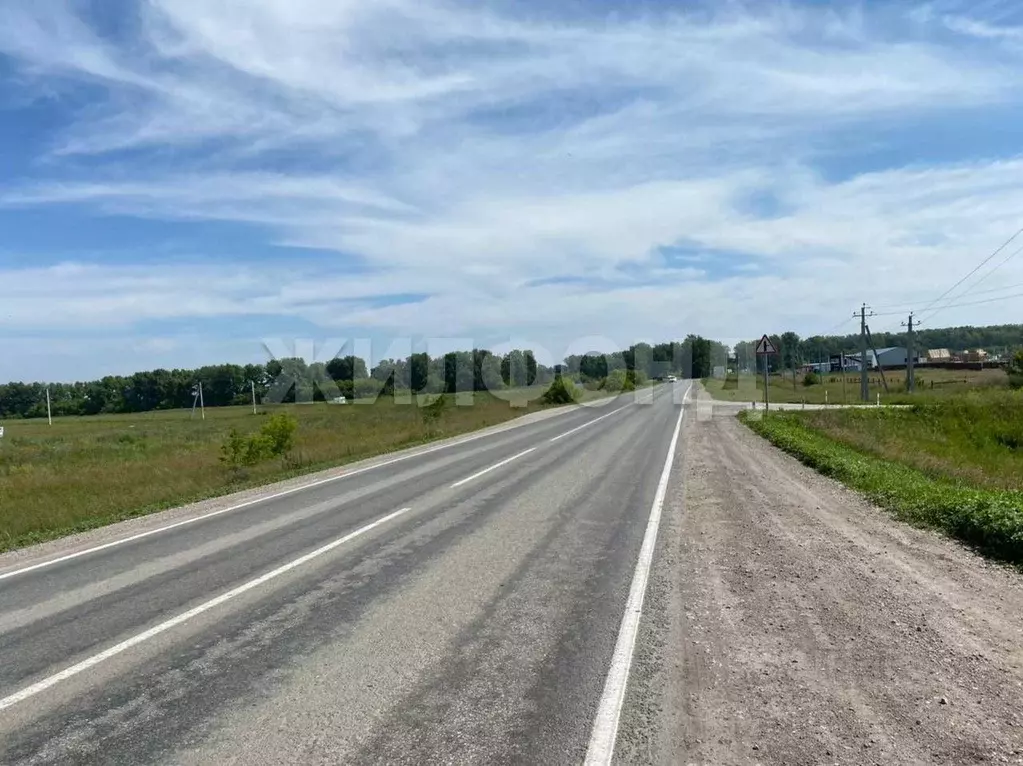 Участок в Калининградская область, Славский муниципальный округ, пос. ... - Фото 2