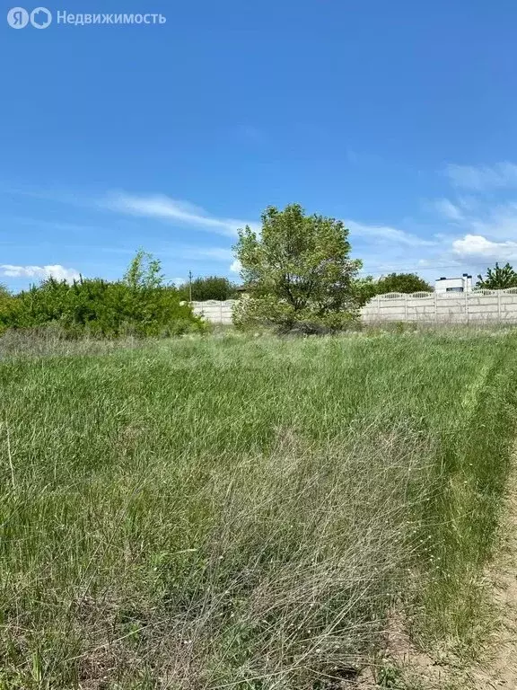 Участок в хутор Островского, улица Кирова (8 м) - Фото 0