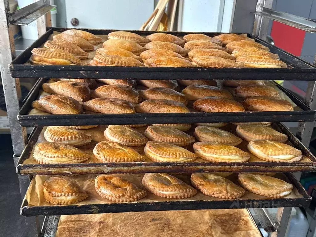 Торговая площадь в Саратовская область, Энгельс ул. Маяковского, 10 ... - Фото 2