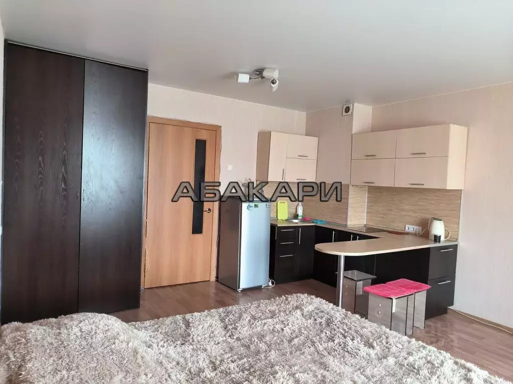 Студия Красноярский край, Красноярск ул. Алексеева, 3 (32.0 м) - Фото 2