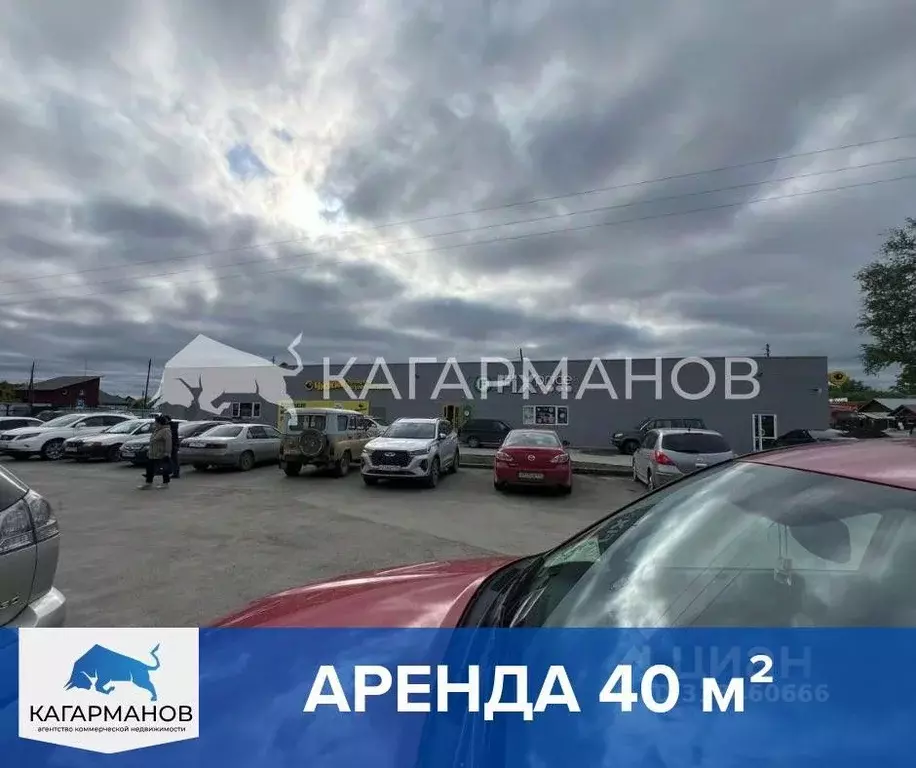Помещение свободного назначения в Новосибирская область, Новосибирск ... - Фото 0