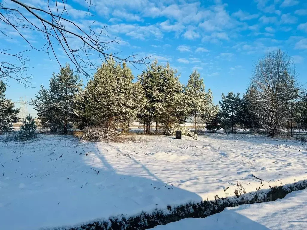 Участок в Московская область, Дмитровский муниципальный округ, Ерыково ... - Фото 0