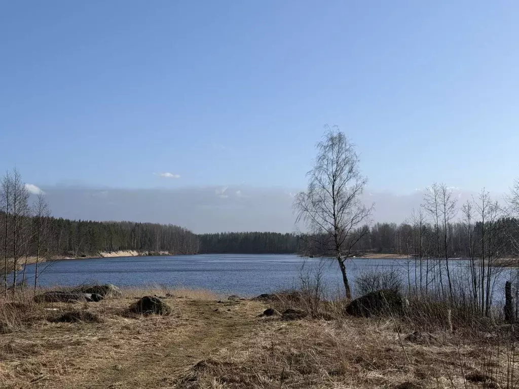 Участок в Ленинградская область, Приозерский район, Ромашкинское с/пос ... - Фото 2