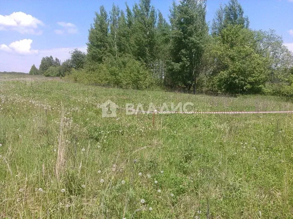 Участок в Калужская область, Калуга городской округ, д. Лихун ул. ... - Фото 0