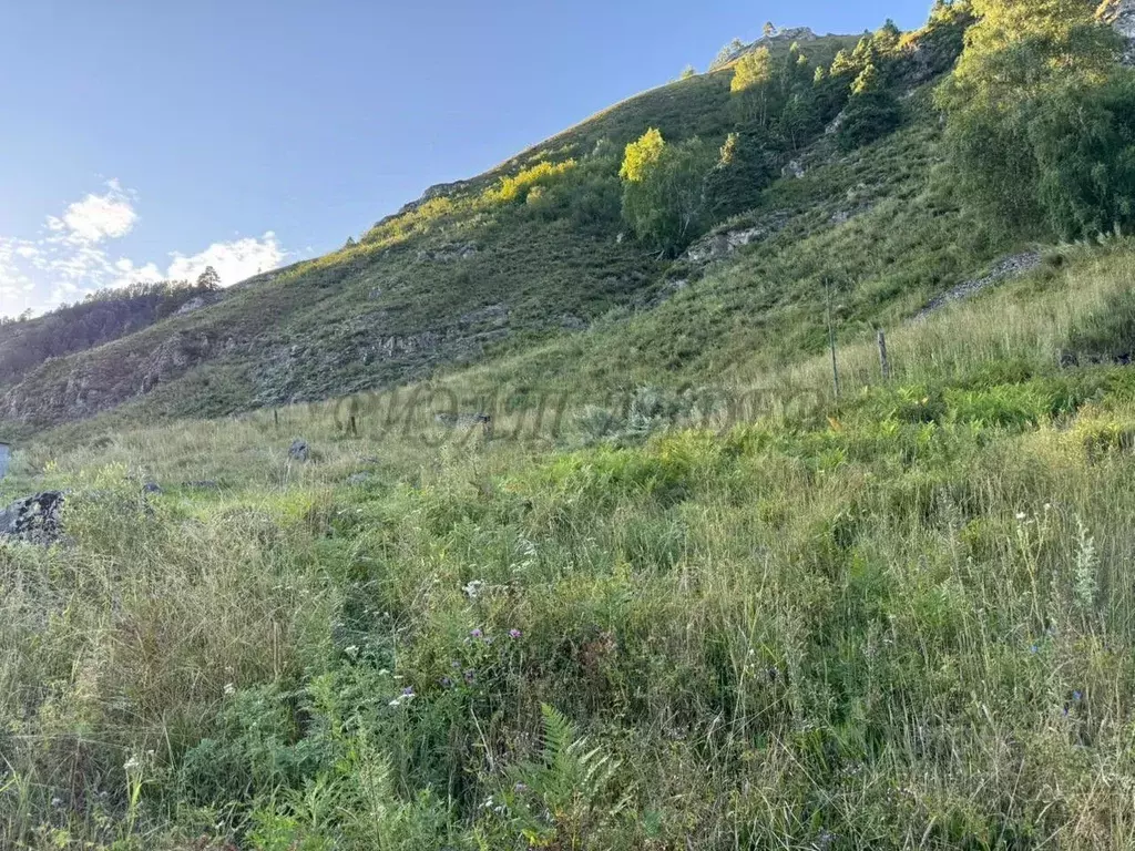 Участок в Алтай, Майминский район, с. Манжерок Подгорная ул. (11.73 ... - Фото 2