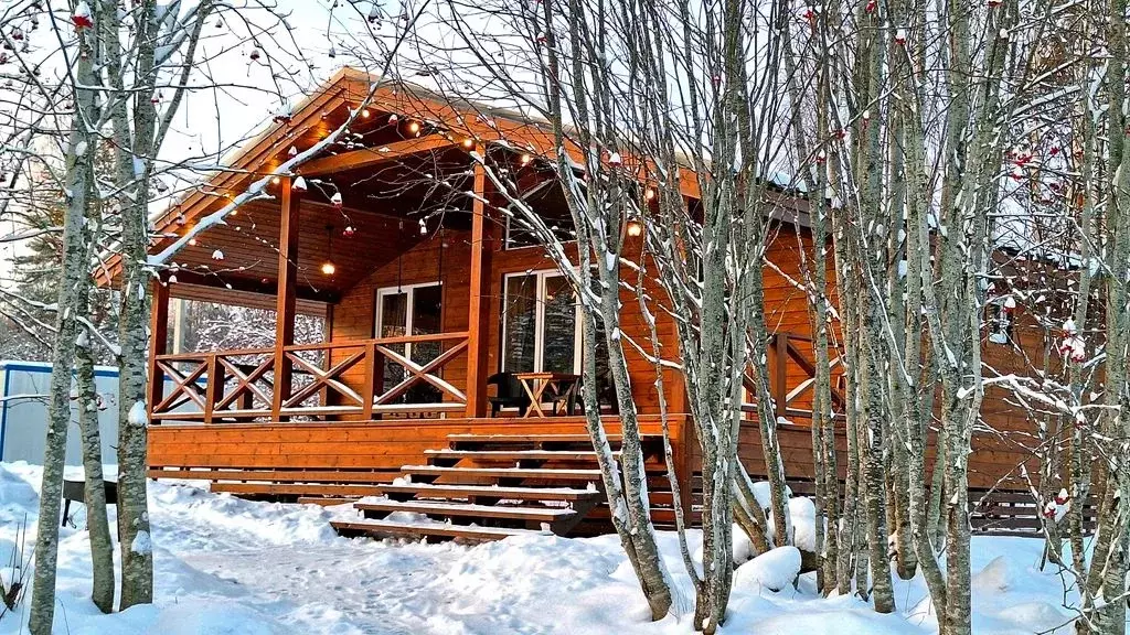 Дом в Ленинградская область, Приозерский район, Громовское с/пос, пос. ... - Фото 2
