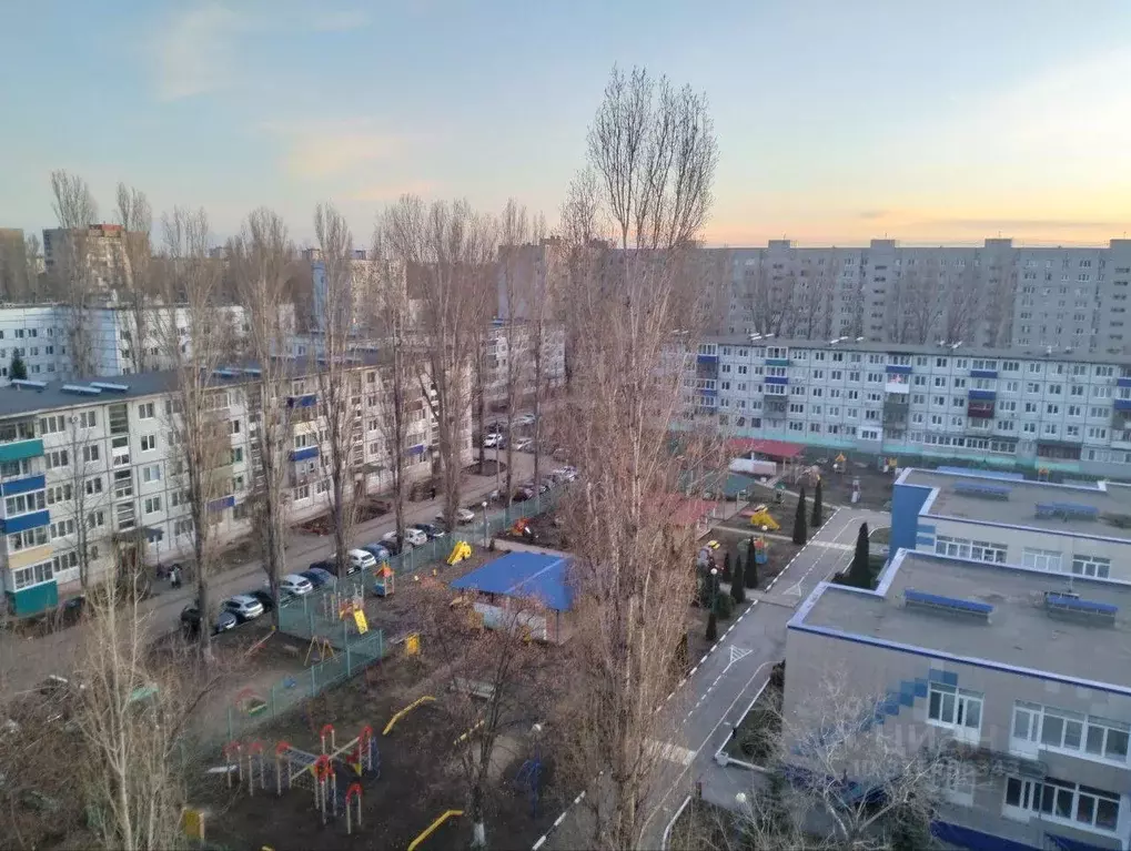 1-к кв. Саратовская область, Балаково ул. Набережная Леонова, 61 (38.0 ... - Фото 0