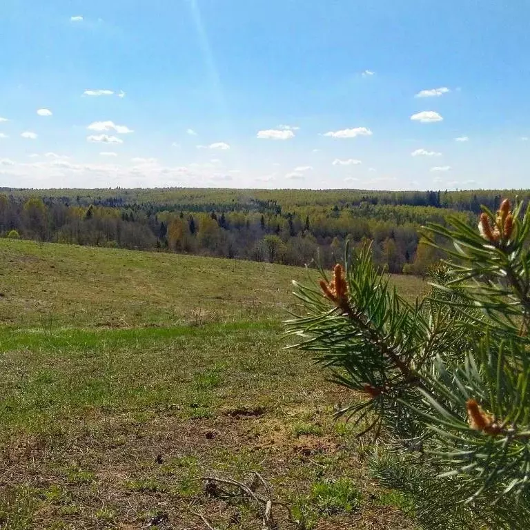 дом в ярославская область, переславль-залесский пл. народная (500 м) - Фото 0