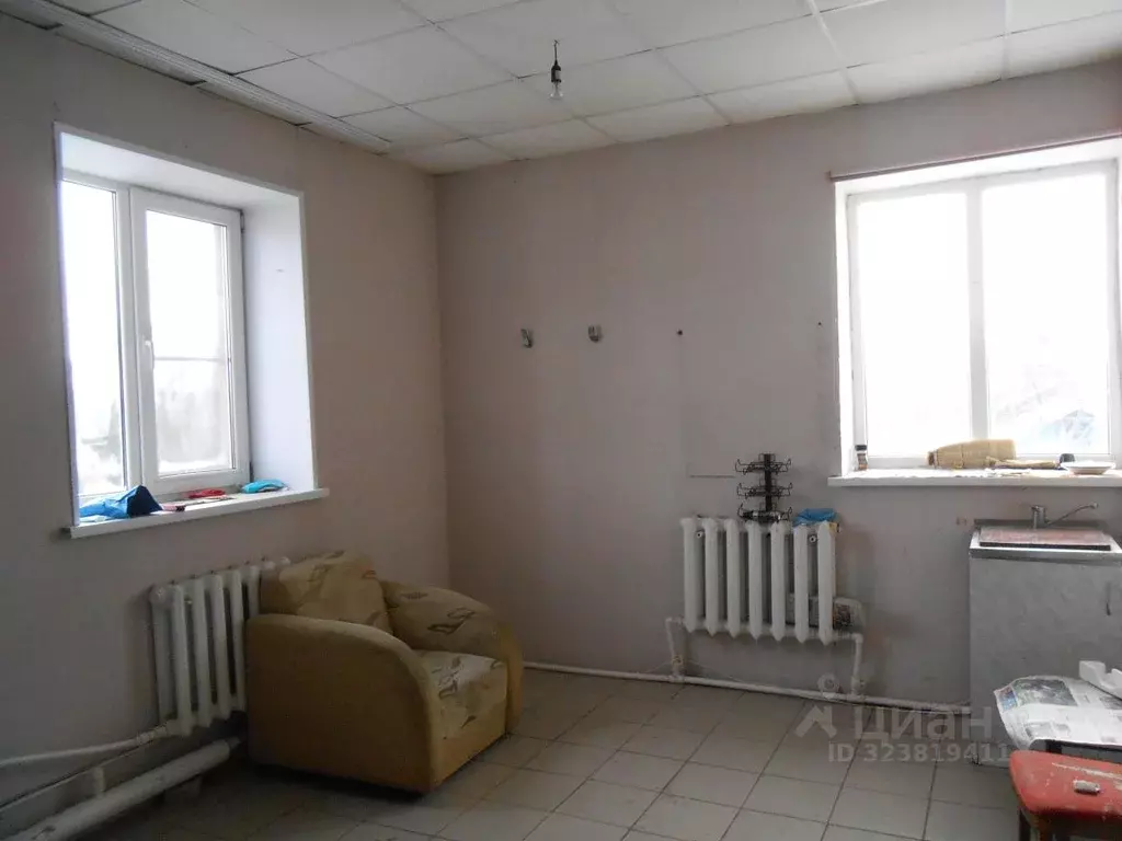 Помещение свободного назначения в Челябинская область, с. Еткуль ул. ... - Фото 1