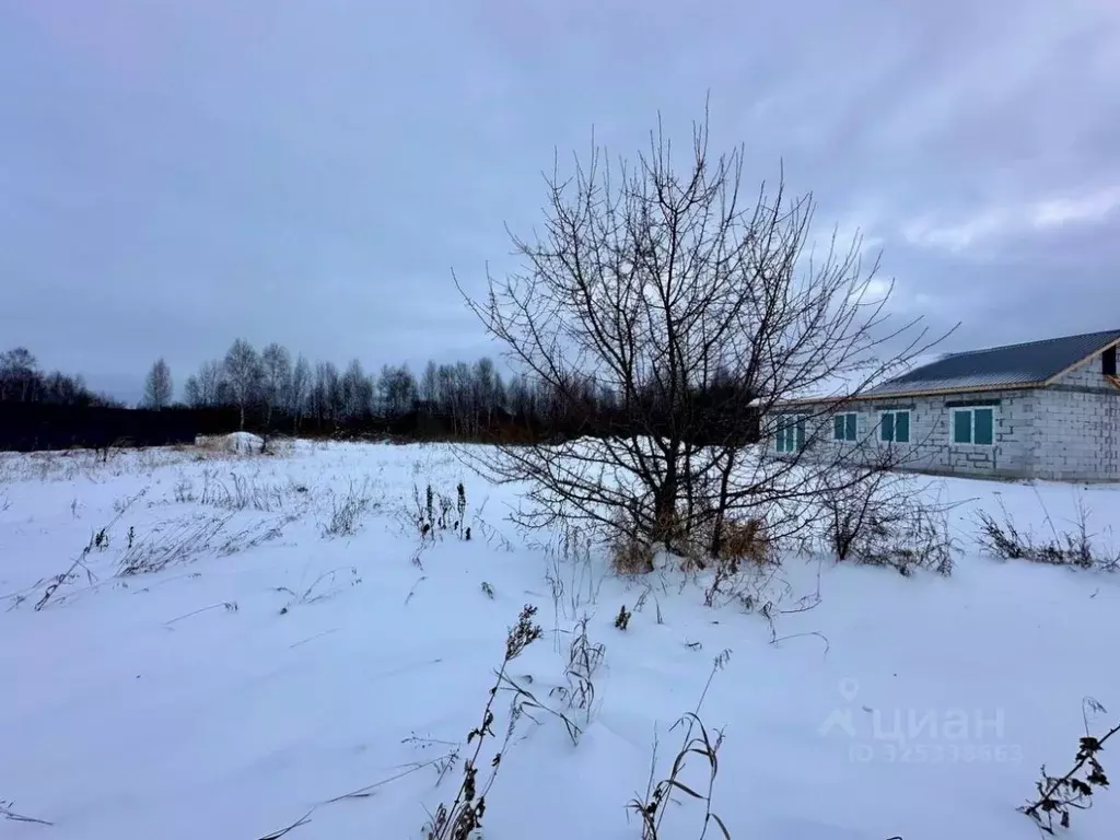 Участок в Челябинская область, Сосновский муниципальный округ, д. ... - Фото 2