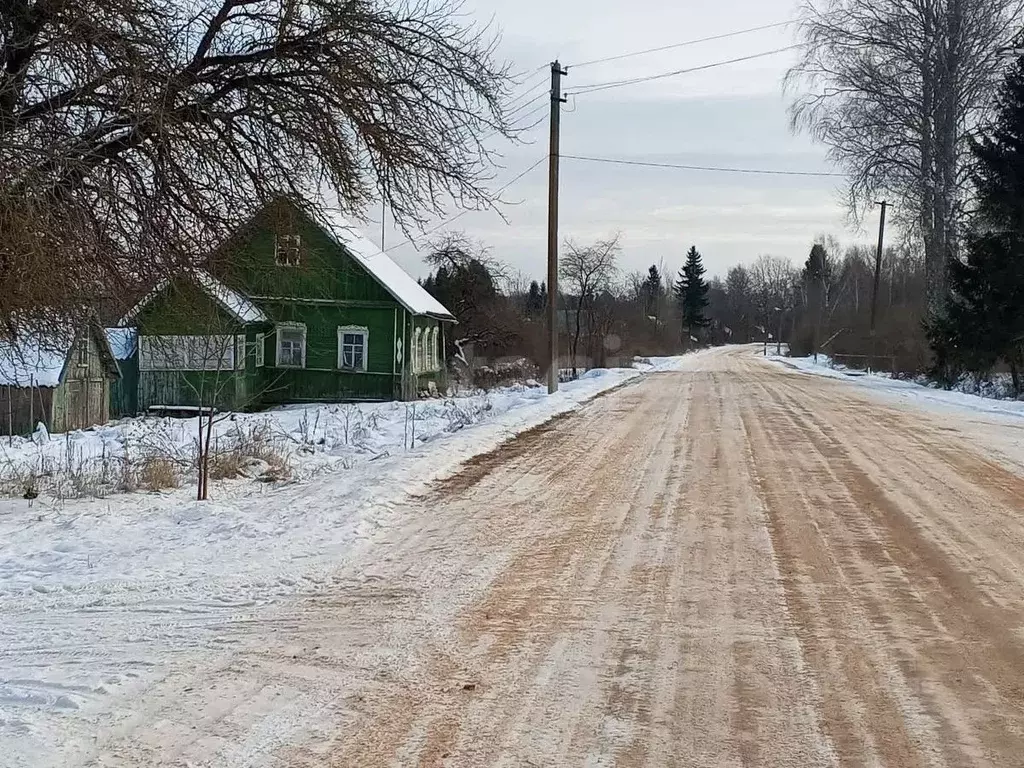 Участок в Псковская область, Островский район, Воронцовская волость, ... - Фото 0