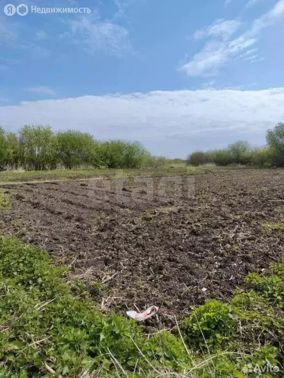 Участок в Головкино, Школьный переулок (12 м) - Фото 2