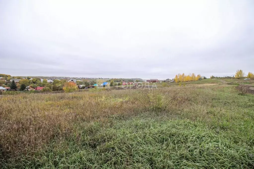 Участок в Алтайский край, Барнаул городской округ, Поселок Казенная ... - Фото 2