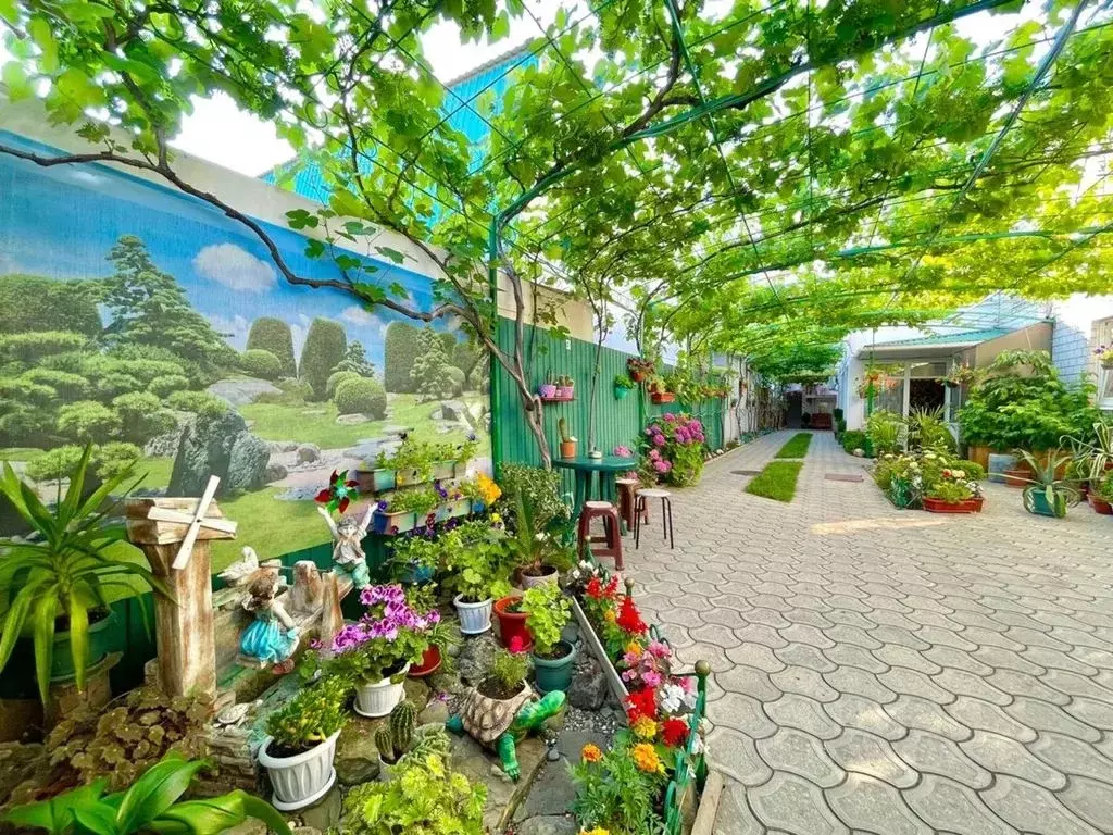 Дом в Краснодарский край, Анапа Новороссийская ул., 37 (22 м) - Фото 1