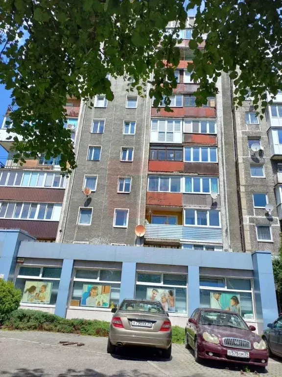 1-к кв. Калининградская область, Калининград Московский просп., 3 ... - Фото 0