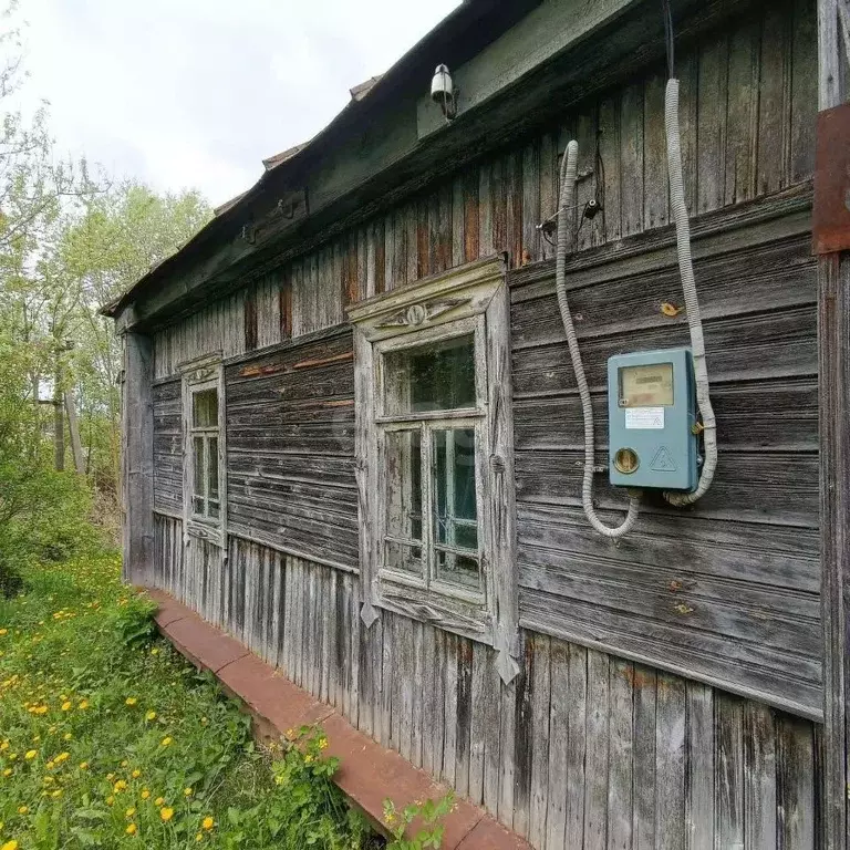 Участок в Брянская область, Карачевское городское поселение, Деревня ... - Фото 1
