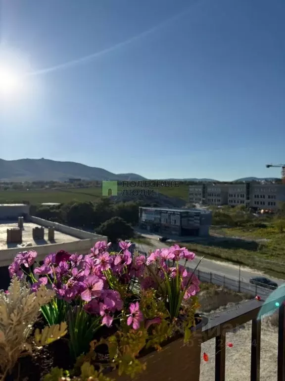 1-к кв. Краснодарский край, Новороссийск ул. Котанова, 44 (43.0 м) - Фото 1