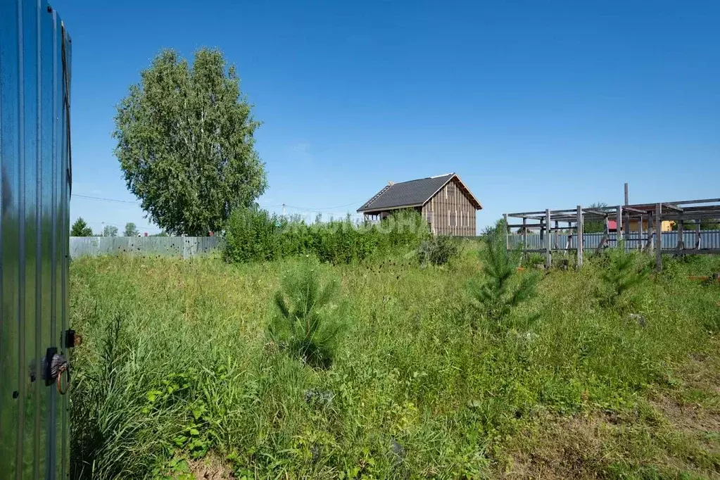 Дом в Новосибирская область, Новосибирский район, Кубовинский ... - Фото 1