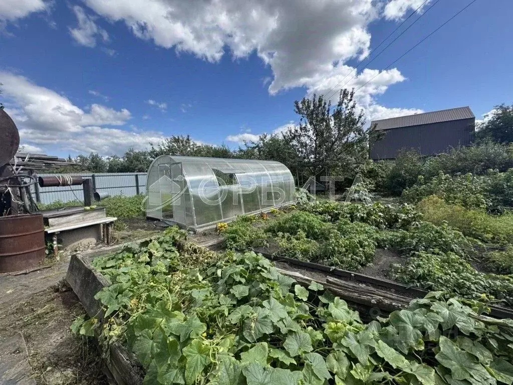 Участок в Северная Осетия, Владикавказ Наука садоводческое ... - Фото 1