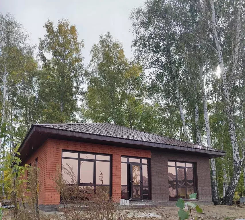 Коттедж в Алтайский край, Первомайский район, с. Фирсово ул. Порфирия ... - Фото 0