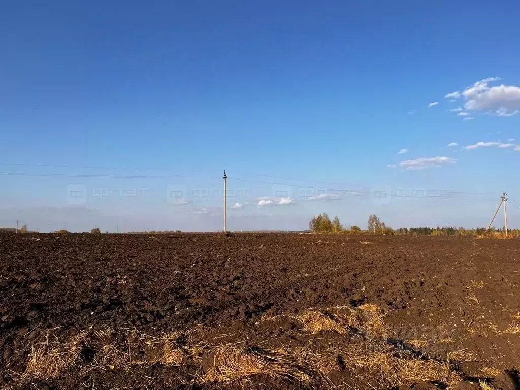 участок в татарстан, лаишевский район, никольское с/пос, с. никольское . - Фото 0