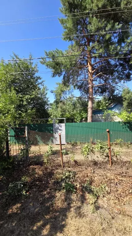 Участок в Волгоградская область, Среднеахтубинский район, Фрунзенское ... - Фото 2