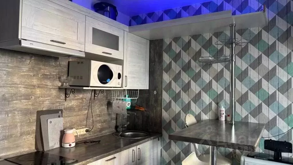 1-к кв. Пензенская область, Пензенский район, Засечный сельсовет, с. ... - Фото 1