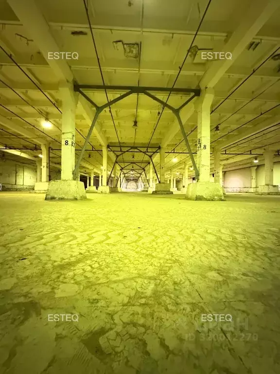 Склад в Новосибирская область, Новосибирск Приграничная ул., 1 (5500 ... - Фото 2