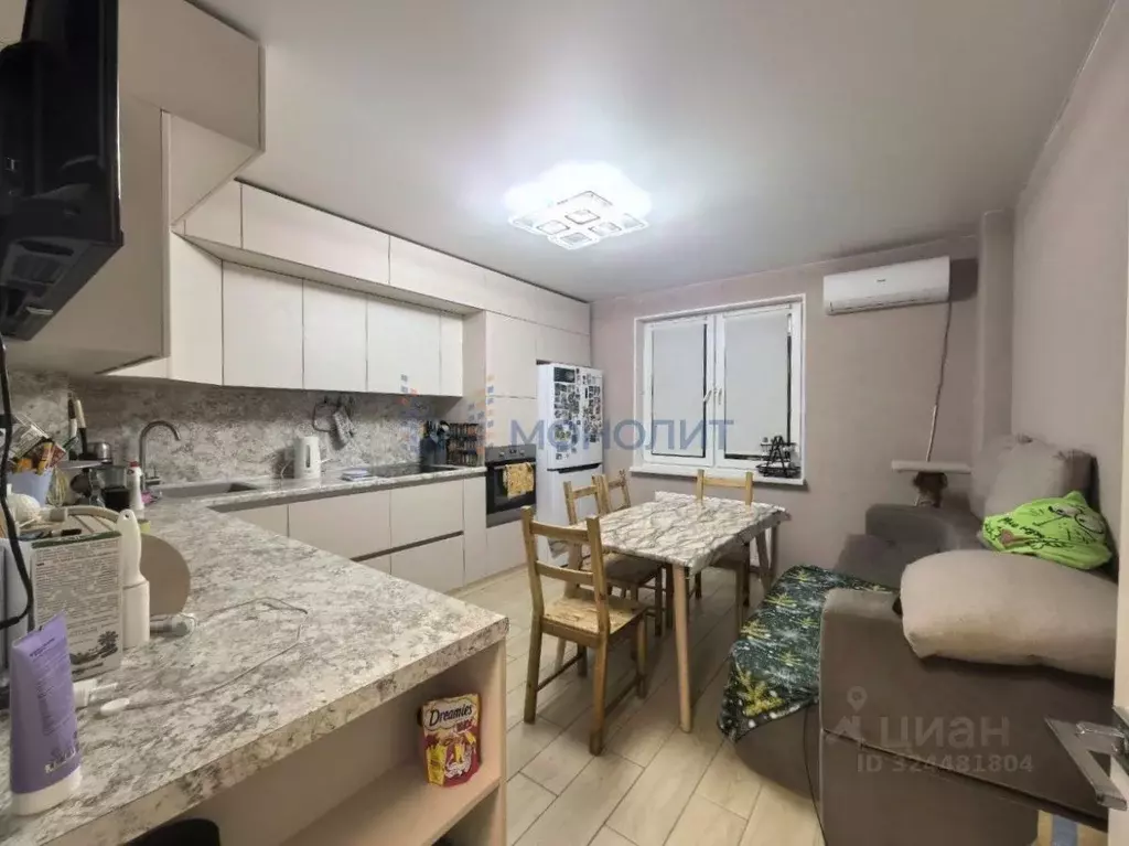 2-к кв. Нижегородская область, Нижний Новгород ул. Новокузнечихинская, ... - Фото 2