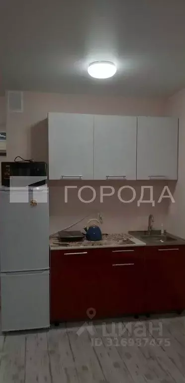 1-к кв. Новосибирская область, Новосибирск ул. Забалуева, 92 (27.0 м) - Фото 0