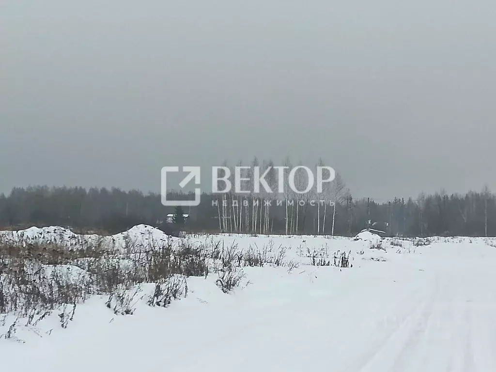 Участок в Костромская область, Судиславский район, Расловское с/пос, ... - Фото 1