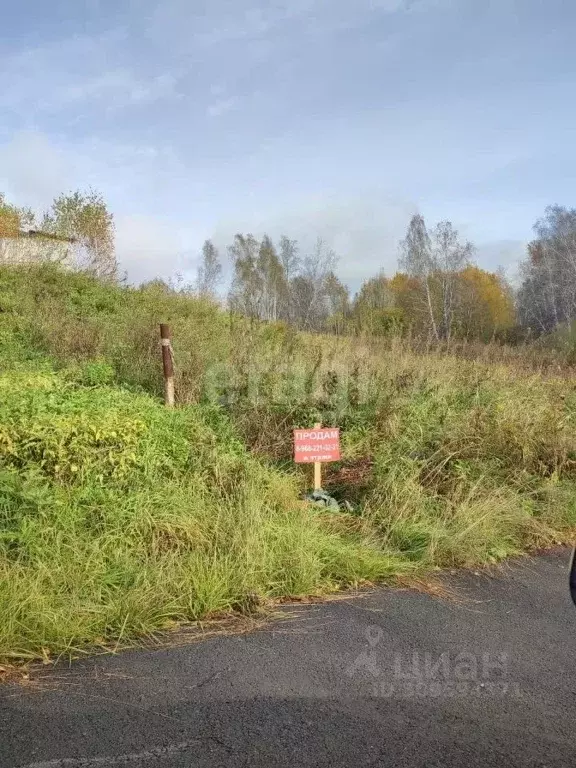 Участок в Новосибирская область, Новосибирский район, Каменский ... - Фото 1