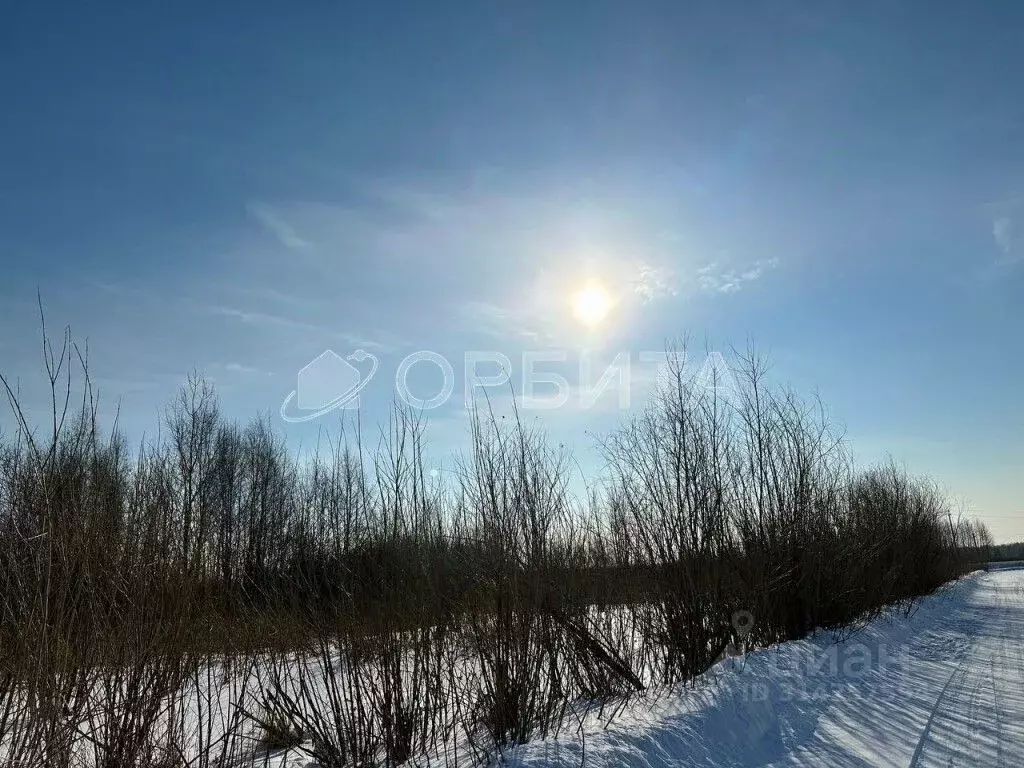 Участок в Тюменская область, Тюменский район, д. Пышминка Молодежная ... - Фото 1