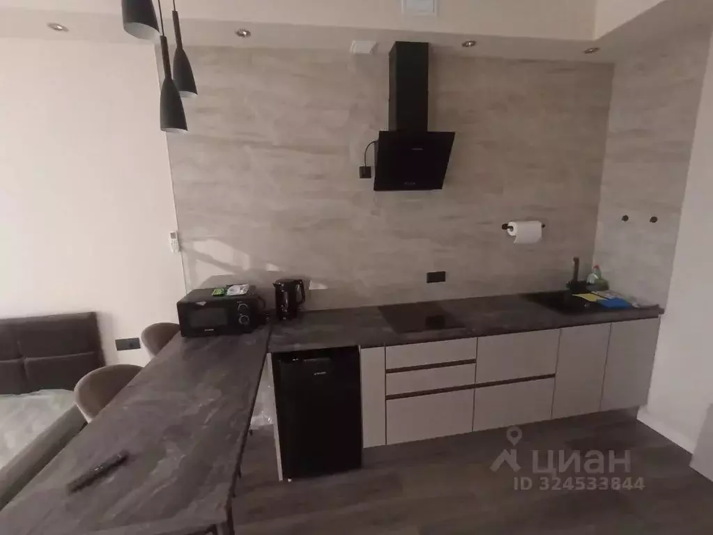 Студия Московская область, Жуковский ул. Гагарина, 3а (28.0 м) - Фото 1