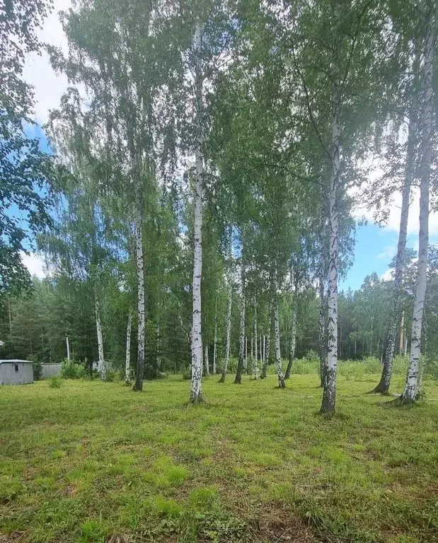 Участок, 15 сот., 0 - Фото 1