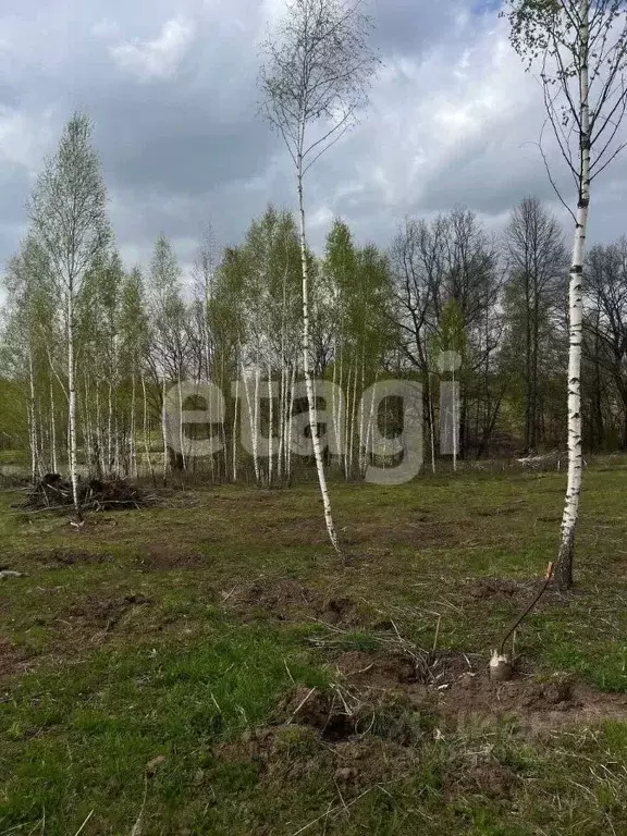 Участок в Тульская область, Кимовский район, Новольвовское ... - Фото 0