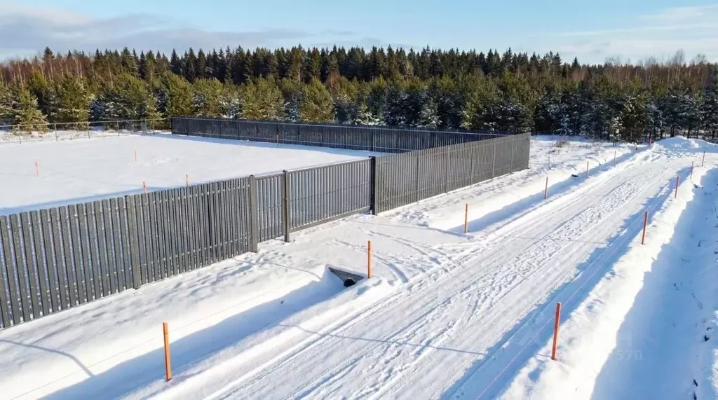 Участок в Московская область, Наро-Фоминский городской округ, Кедрица ... - Фото 1
