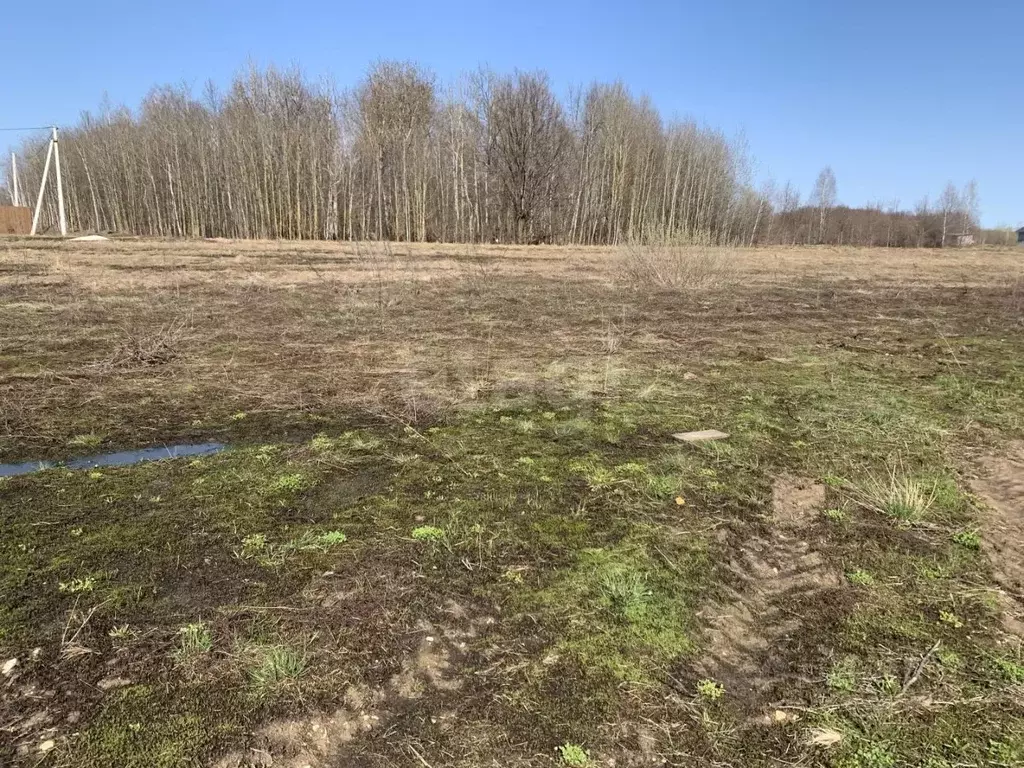 Участок в Мордовия, Кочкуровский район, с. Булгаково  (16.0 сот.) - Фото 2