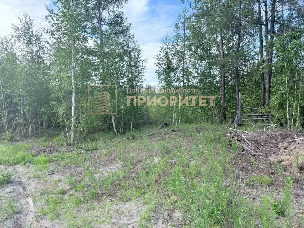 Участок, 10 сот., поселения (ижс) - Фото 0