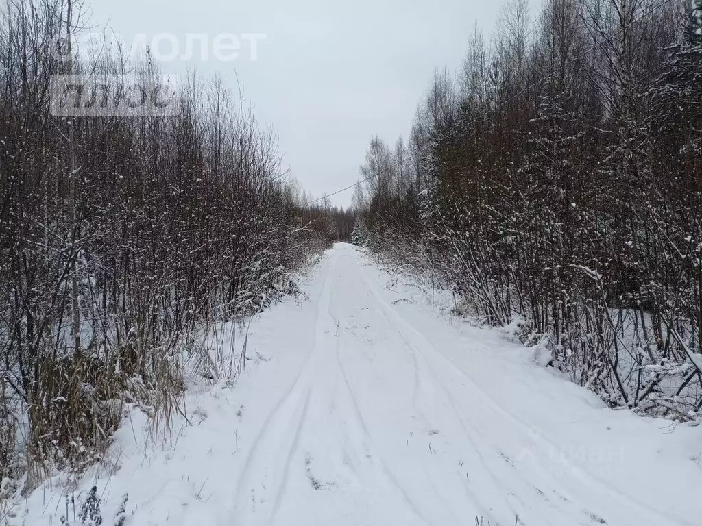 Участок в Ленинградская область, Тосненский район, Рябовское городское ... - Фото 1