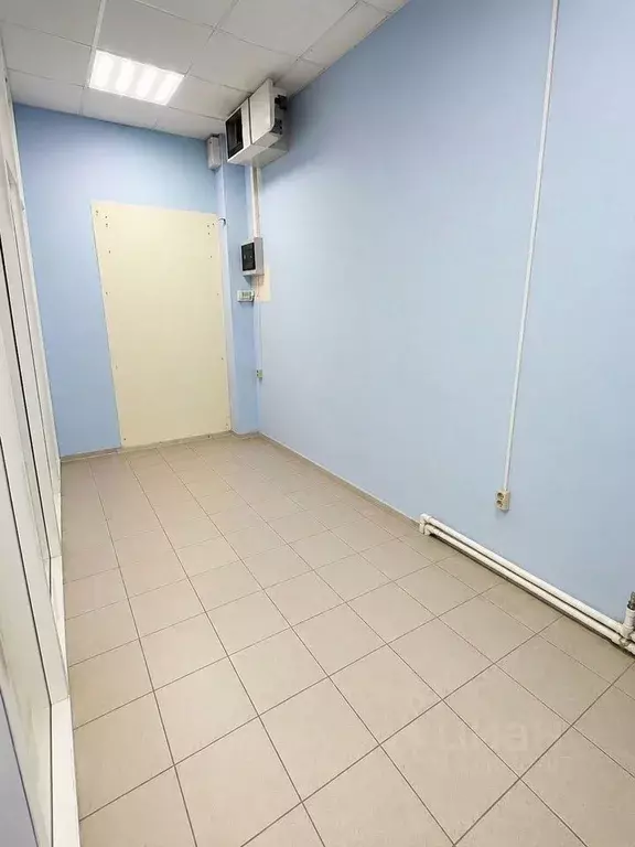 Торговая площадь в Московская область, Истра муниципальный округ, д. ... - Фото 2