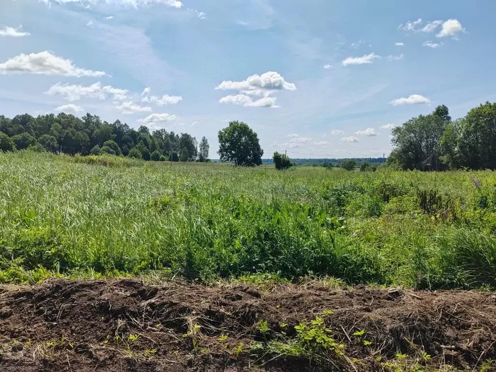 Участок в Московская область, Можайский муниципальный округ, д. ... - Фото 1