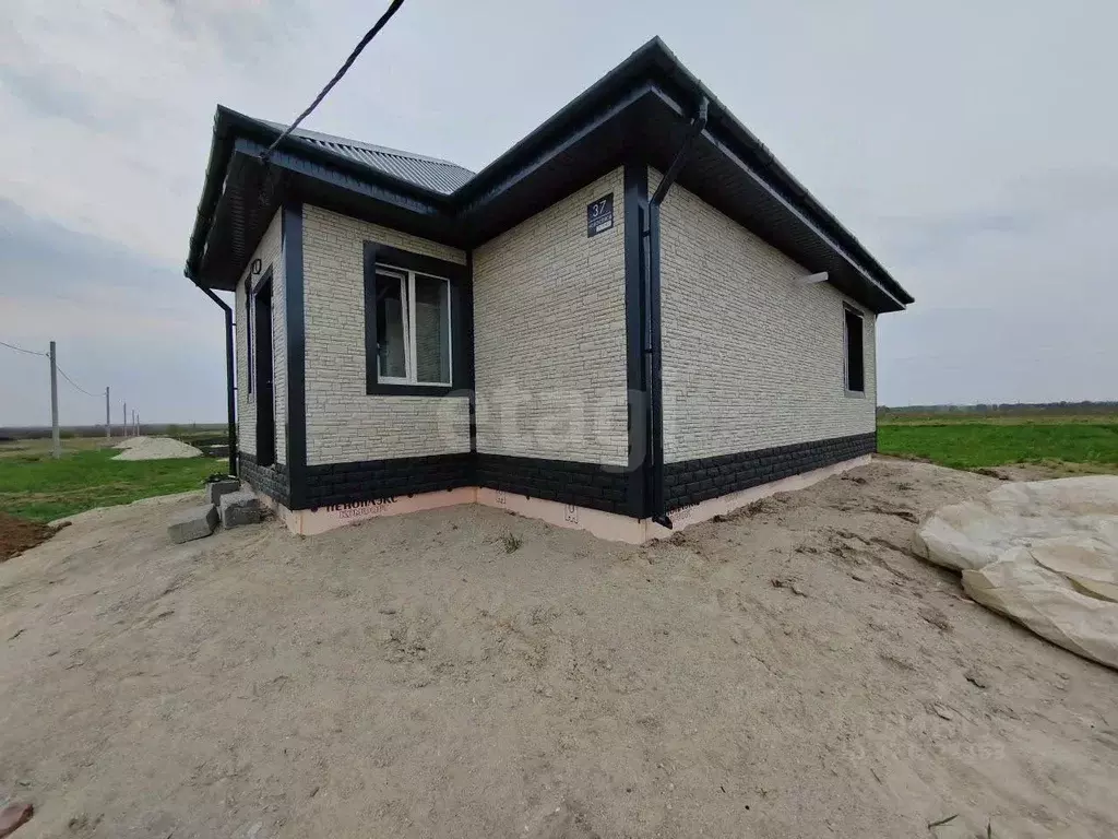 Дом в Амурская область, Белогорский муниципальный округ, с. Васильевка ... - Фото 1