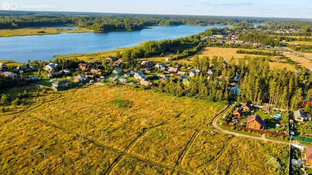 Участок в Приозерский район, Ромашкинское сельское поселение, посёлок ... - Фото 1