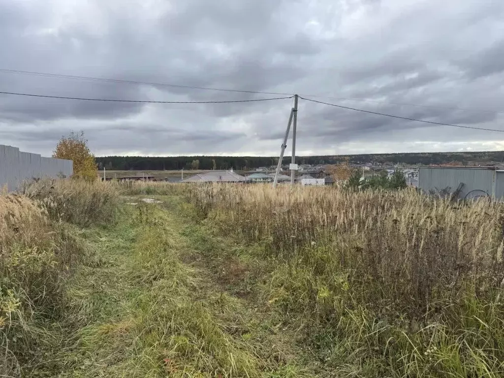 Участок в Калужская область, Калуга д. Черносвитино,  (8.0 сот.) - Фото 2