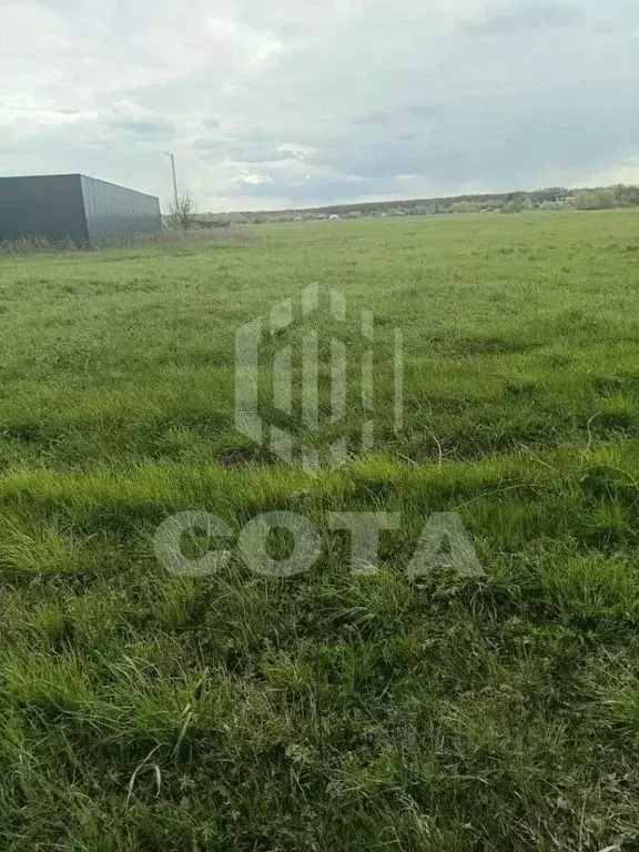 Участок в Воронежская область, Новоусманский район, с. Хреновое ул. ... - Фото 1