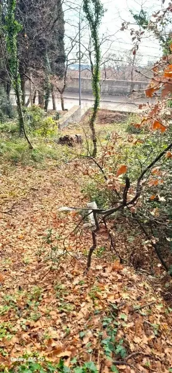 Участок в Крым, Ялта муниципальный округ, Кореиз пгт ш. ... - Фото 1