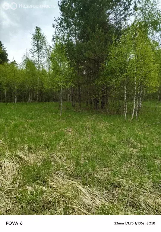 Участок в сельское поселение Ерденево, железнодорожная станция ... - Фото 0